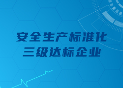 祝贺亚洲城游戏通过深圳市“安全生产标准化三级达标企业”评定